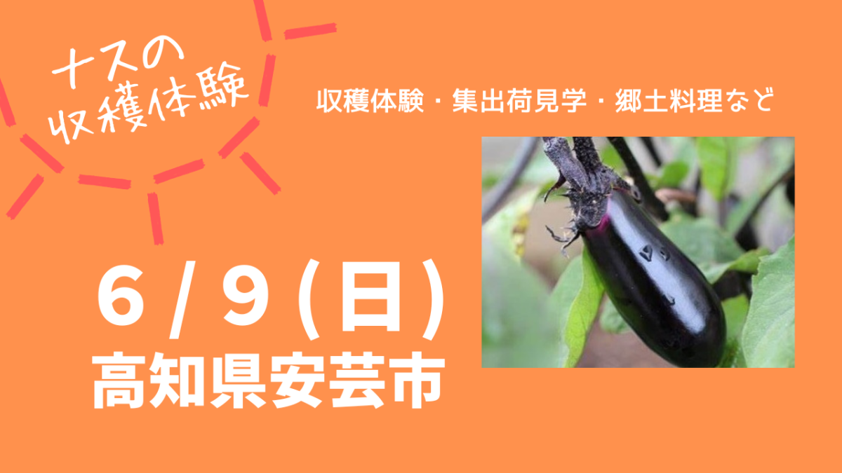 【ナスの収穫体験】高知県安芸市で開催します！